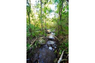 Commercial Property for Sale in Kabeljauws Eastern Cape